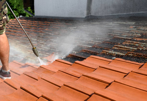 Best Fence Pressure Washing  in Justin, TX
