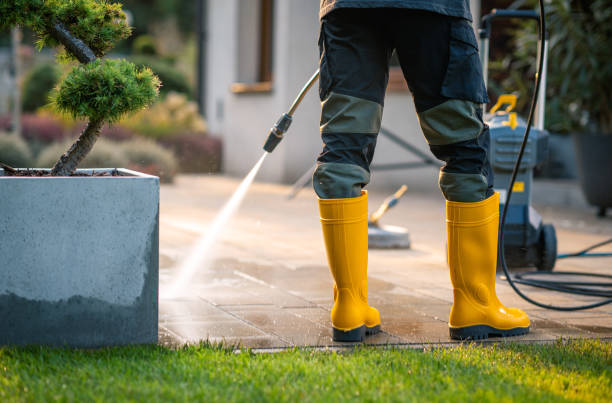 Best Best Pressure Washing Companies  in Justin, TX